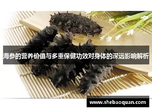 海参的营养价值与多重保健功效对身体的深远影响解析