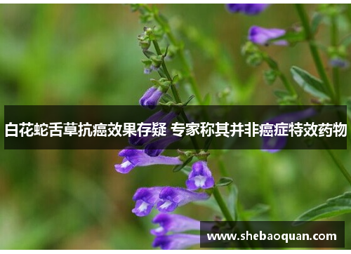 白花蛇舌草抗癌效果存疑 专家称其并非癌症特效药物