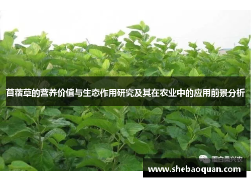 苜蓿草的营养价值与生态作用研究及其在农业中的应用前景分析