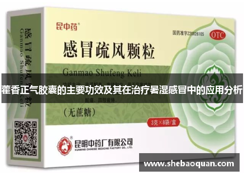 藿香正气胶囊的主要功效及其在治疗暑湿感冒中的应用分析