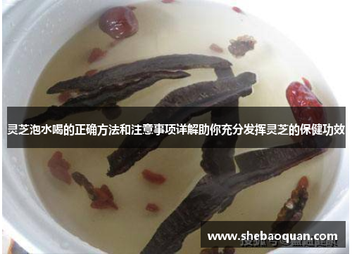 灵芝泡水喝的正确方法和注意事项详解助你充分发挥灵芝的保健功效